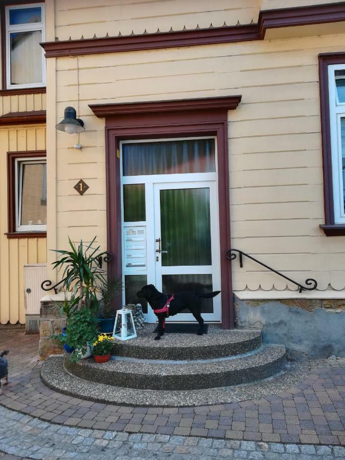 Ferienwohnung Zur Alten Post 바트그룬드 외부 사진